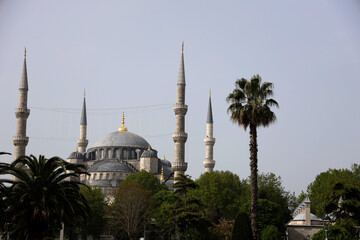 View of the Blue Mosque in Istanbul