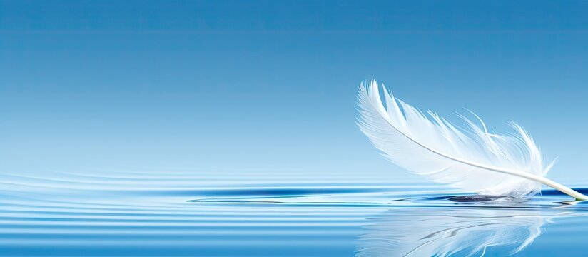 White goose bird feather floats and reflects in clear still blue water Perfect copy space image - Powered by Adobe