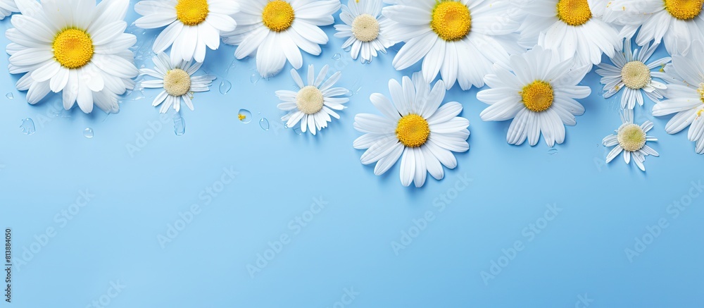 Poster a summer themed composition featuring chamomile flowers and petals on a blue background presented in