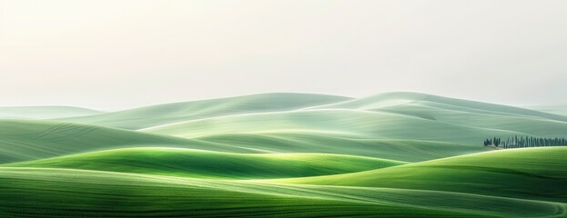 Obraz premium Soft Light Caressing Gentle Waves of Verdant Agricultural Land