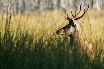 Une rencontre magique