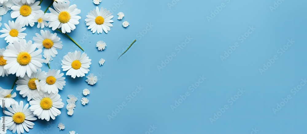 Poster a summer themed composition featuring chamomile flowers and petals on a blue background presented in