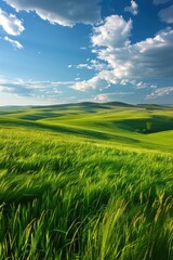 Fototapeta premium Green Fields and Clouds Over Lush Countryside