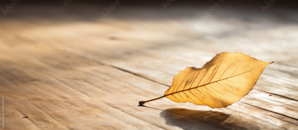 Poster a lone yellow dry leaf rests on the floor with empty space on the left for the copy. copy space imag