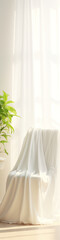 Elegant minimal still life scene with a plant and draped fabric on a chair in front of a bright window.