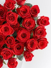 bouquet of bright red roses on a white background