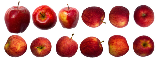 Row of Red, Royal Gala apples have red skin and water droplets on them, looking delicious and beautiful. Isolated on panorama white background, cutout, PNG.