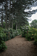 path in the park