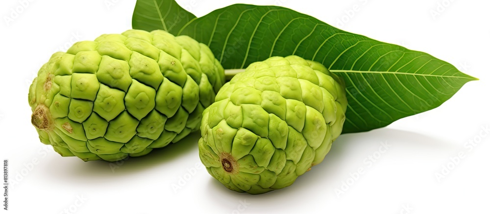 Poster A noni fruit with a leaf is pictured in a separate copy space image against a white background with a clipping path