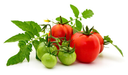 Ripe red tomatoes with branches and leaves.