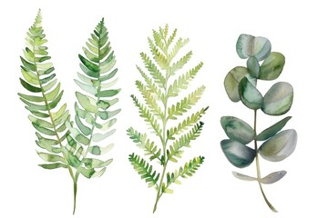 A collection of various leaf types, perfect for botanical projects