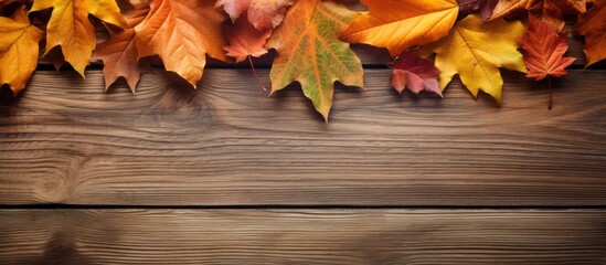 Copy space image of autumn leaves on a wooden background