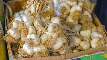 Bunch of Dried Garlic Spice in Box at Farmers Market