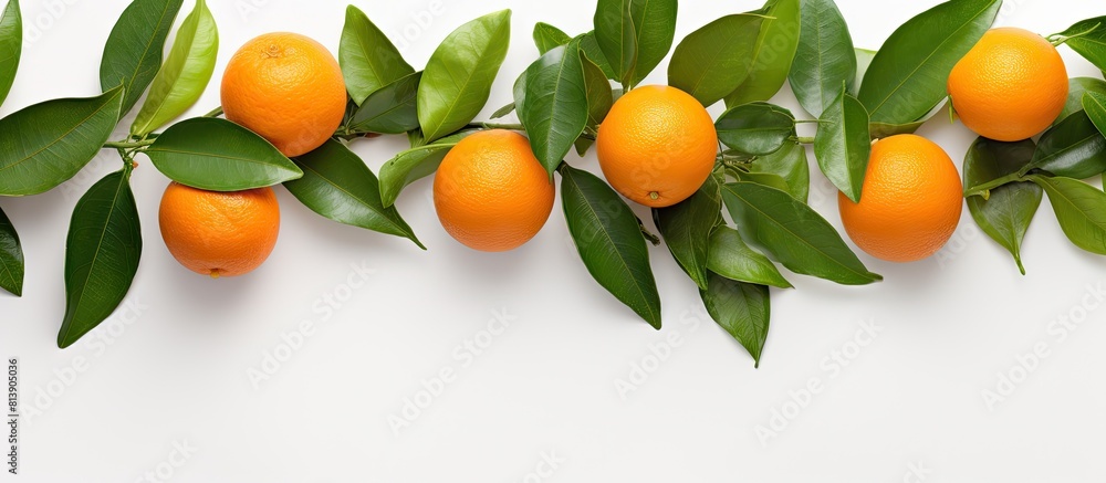 Poster top view of an isolated orange or tangerine complete with leaves on a white background providing amp