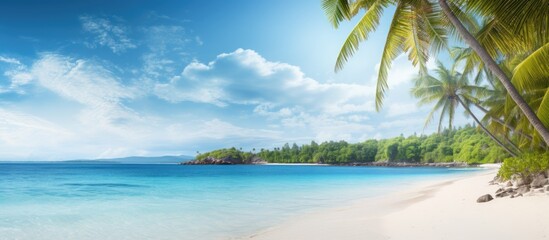 The stunning beach and the picturesque tropical sea create a captivating copy space image
