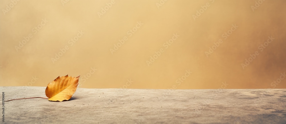Poster a lone yellow dry leaf rests on the floor with empty space on the left for the copy. copy space imag