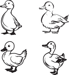 black and white duck outline