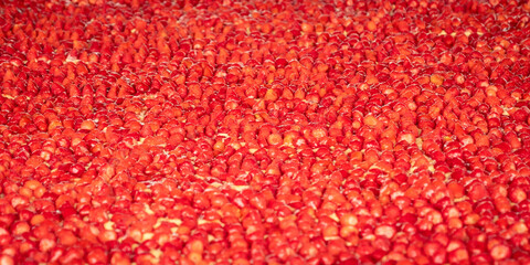 Thousands of glazed strawberries on a giant 30m long strawberry tart at the 25th annual strawberry...