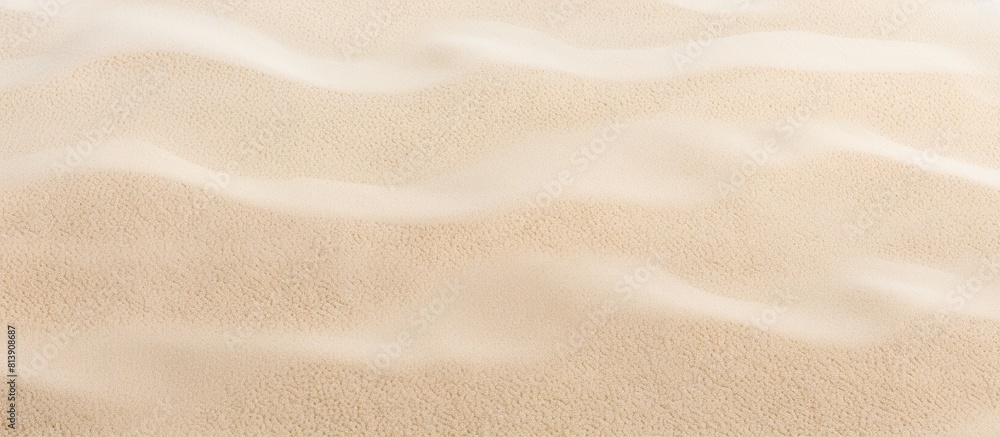 Poster cream carpets compose the background of the image providing an ample and neutral copy space for addi