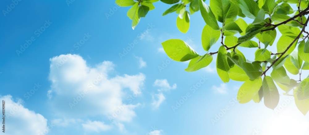 Poster a sunny blue sky serves as the backdrop for a tree branch adorned with green leaves creating a summe