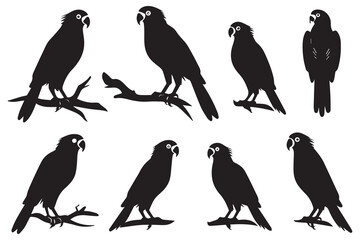 parrot bird silhouette black vector illustration