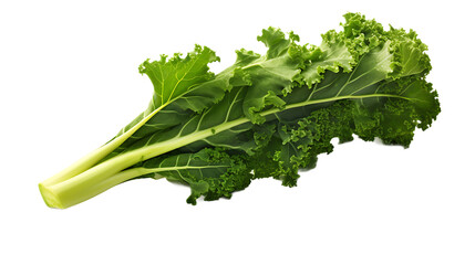 A kale with a transparent background.