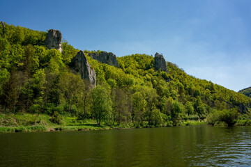 Donautal, Donau, Rocks, Germany, river, forest