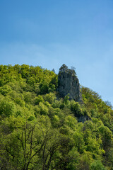 Donautal, Donau, Rocks, Germany, river, forest