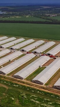 Aerial view over the poultry farms. Agriculture industry in countryside from above Vertical video