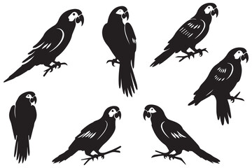 set of parrot silhouettes vector