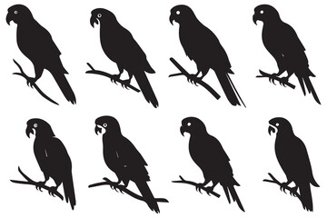 Obraz premium set of parrot silhouettes vector