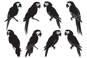 set of parrot silhouettes vector