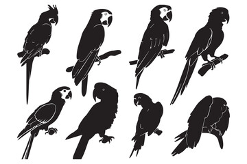 Set of silhouettes of parrots. Collection of tropical birds from the Amazon jungle. Domestic parrot on a sit on a stand. Zoo.Vector illustration on a white background © MDHABIBUR