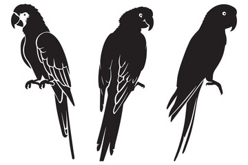 Set of silhouettes of parrots. Collection of tropical birds from the Amazon jungle. Domestic parrot on a sit on a stand. Zoo.Vector illustration on a white background