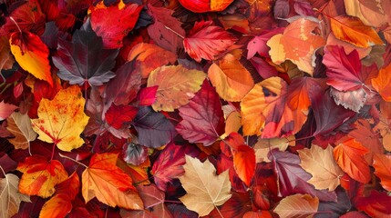 Abstract autumn scene with fallen leaves and rich reds and oranges