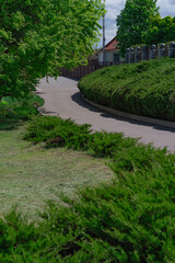 path in the park