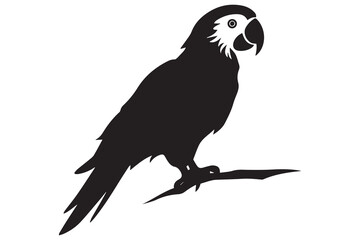 Set of silhouettes of parrots. Collection of tropical birds from the Amazon jungle. Domestic parrot on a sit on a stand. Zoo.Vector illustration on a white background