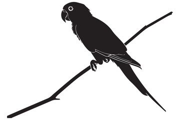 Set of silhouettes of parrots. Collection of tropical birds from the Amazon jungle. Domestic parrot on a sit on a stand. Zoo.Vector illustration on a white background
