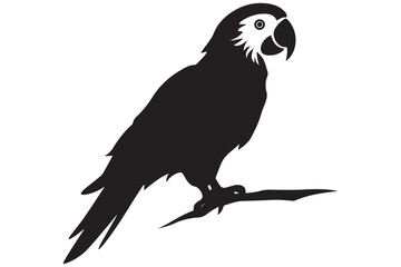 parrot silhouettes vector illustration