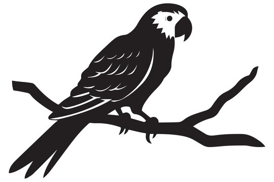 recommend clip art: parrot silhouettes vector illustration