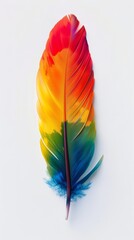 Vibrant multicolored feather isolated on white background. Art and design concept.