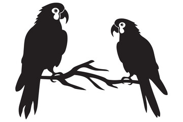 parrot silhouettes vector illustration