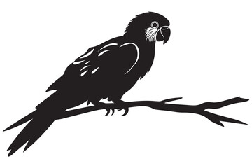parrot silhouettes vector illustration