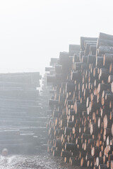 Large Pile of Logs in the Fog