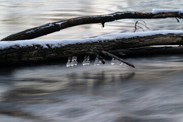 Icicles hang on branch, fallen tree in creek, winter landscape