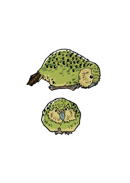 カカポ