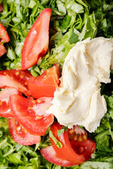 Vertical image of fresh spring vegetable chopped for salad, milky fat cream