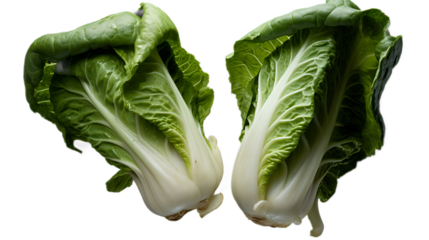 A pair of bok choy heads with a Transparent background.