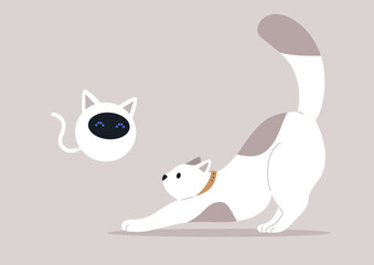 A stretching cat intrigued by a robotic feline