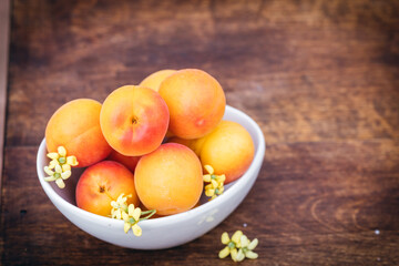 White ceramic bowl with ripe apricots on a wooden table in the garden